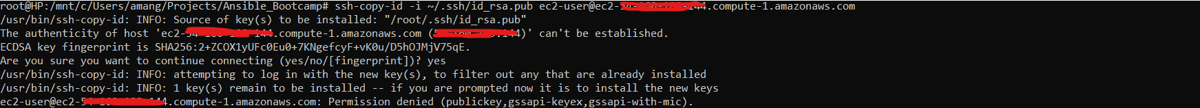 Copy SSH public key to EC2 server